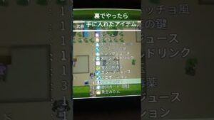 RPGツクールMVを裏でやってたら手に入れたアイテム